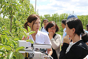 Assessing CO2-exchange in the field - Dr. Manuela Zude-Sasse demonstrates the measurement (Photo: ATB)