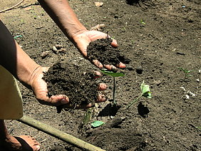 Terra Preta - entstanden durch das Einbringen von organischen Reststoffen in den Boden (Foto: Kern/ATB)
