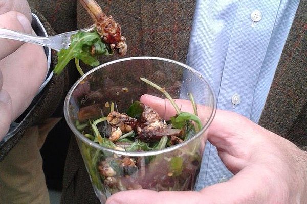 Essbare Insekten - Proteinressource der Zukunft (Foto: Rumpold)