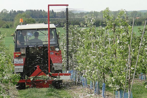 Mechanische Blütenausdünnung in einer Apfelanlage mit Hilfe einer rotierenden Bürste (Foto: ATB)