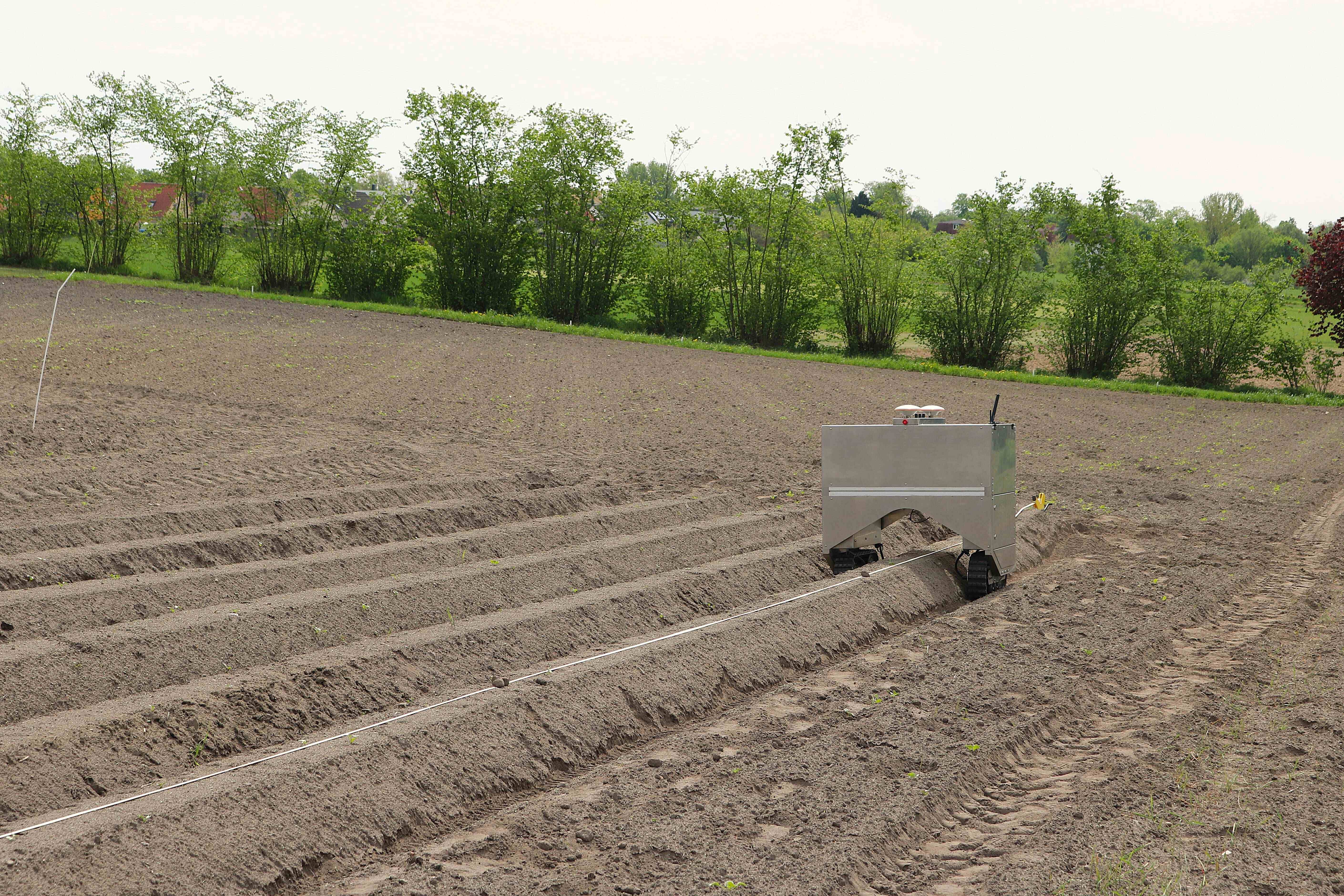 AI at work: The AI-powered field robot is able to check the ground for unwated weeds.